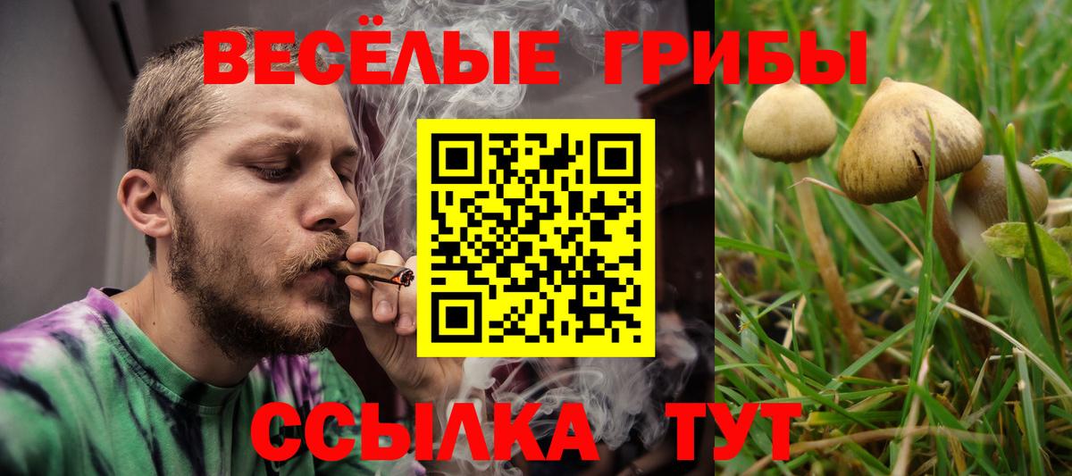 Уварово  Галлюциногенные грибы GOLDEN TEACHER  Вход с VPN 