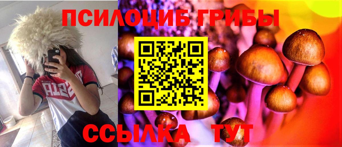 Псилоцибиновые грибы Cubensis Уварово
